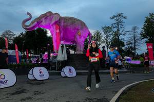 BIB: 
                            <button type="button" onclick="openModal(26529667)" class="btn btn-primary btn-sm float-right btn-popup" data-toggle="modal" data-target=".modal-high-quality">
                        <i class="fas fa-shopping-cart"></i> Add to Cart
                    </button>
                                            <button type="button" onclick="isThisMe(26529667, true)" class="btn btn-success btn-sm float-right btn-popup btn-isme hidden" data-toggle="tooltip" data-placement="bottom" title="นี่คือรูปของคุณใช่ไหม คลิกที่นี่เพื่อเอาเข้าอัลบั้ม">
                        <i class="fas fa-plus"></i> Add to album
                    </button>
                    <button type="button" onclick="isThisMe(26529667, false)" class="btn btn-warning btn-sm float-right btn-popup btn-isnotme hidden">
                        <i class="fas fa-ban"></i> Remove from album
                    </button>